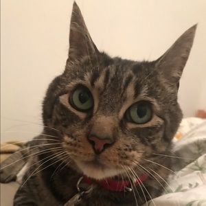 Meet your Posher, Alexandra